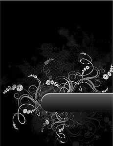 花 grunge 框架灰色白色植物插图黑色背景图片