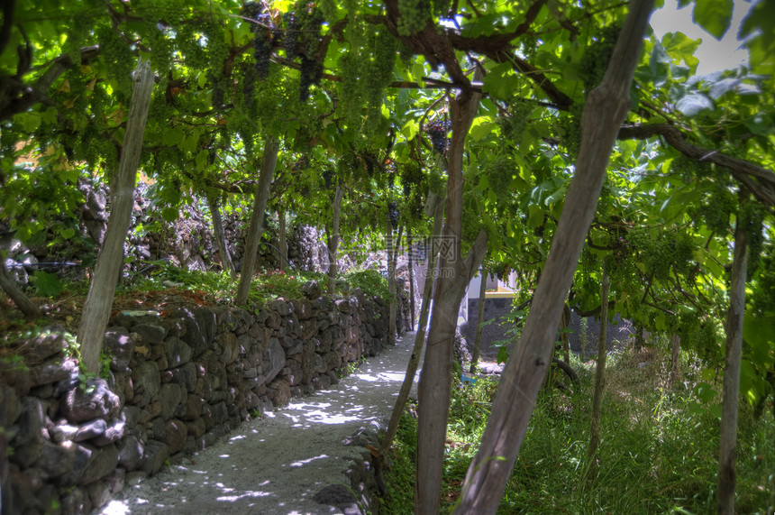 马 提拉灌溉爬坡远足山脉阳光渠道旅行小岛瀑布丘陵图片