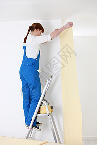 妇女在梯子上铺壁纸背景图片