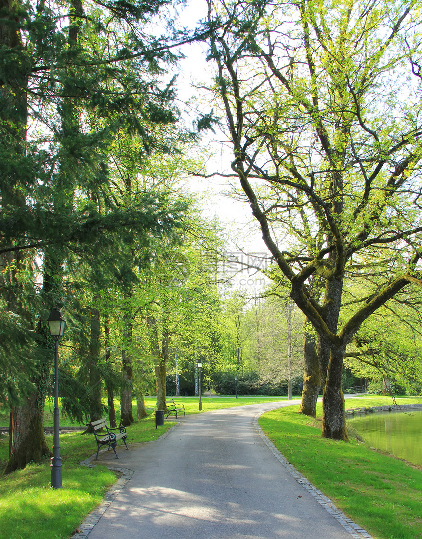 在公园里长椅小路旅行绿色自然绿色植物叶子踪迹树叶胡同图片