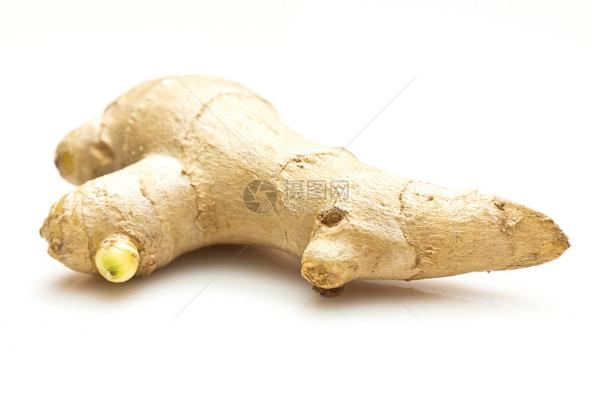 孤立于白色背景调味品烹饪药品香料植物美食蔬菜文化草本植物味道图片