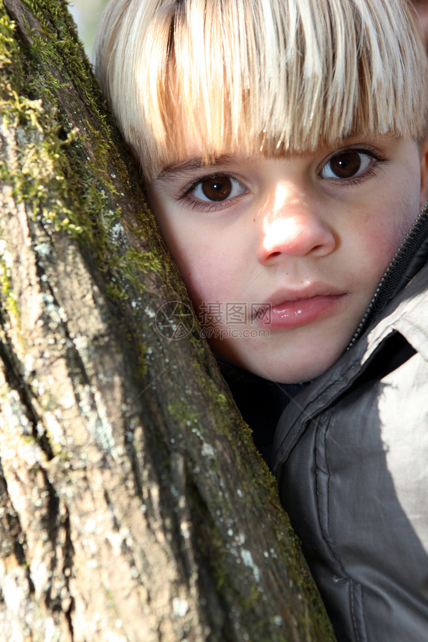 抱着树的年轻男孩图片