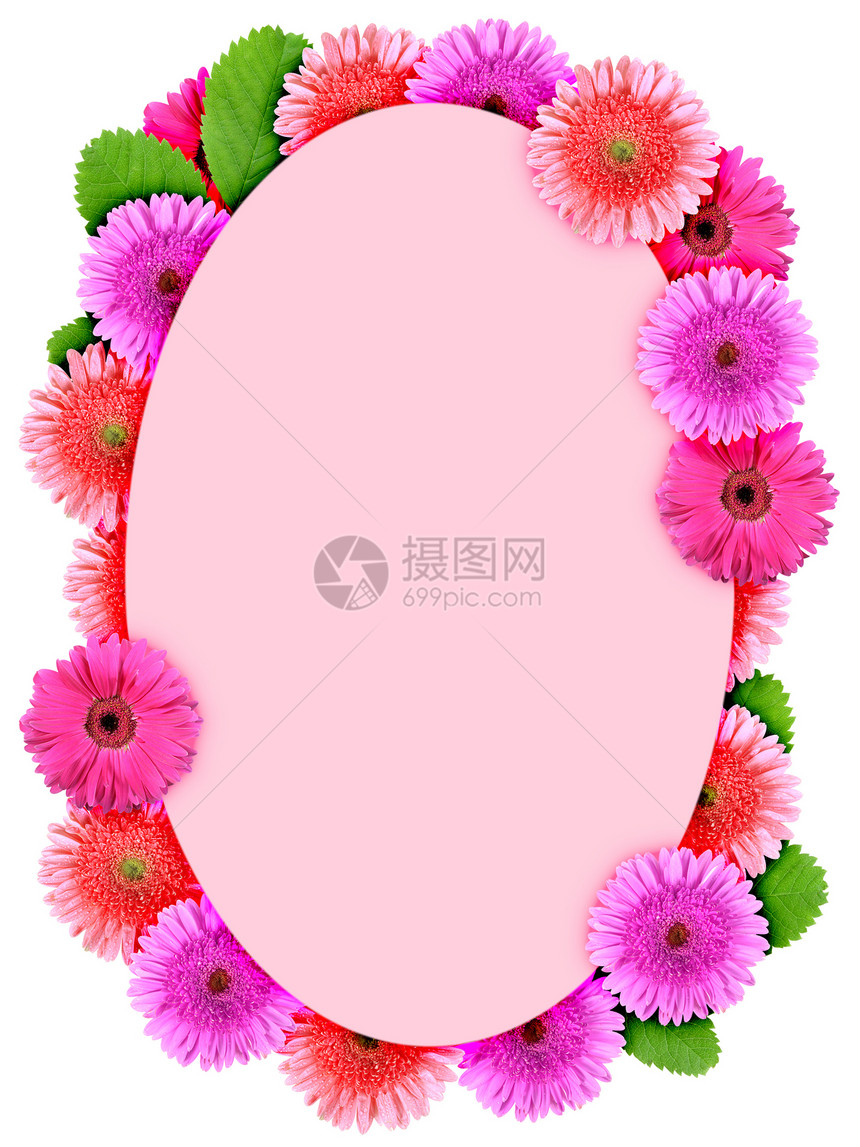 花粉红花朵的花状椭圆边框图片