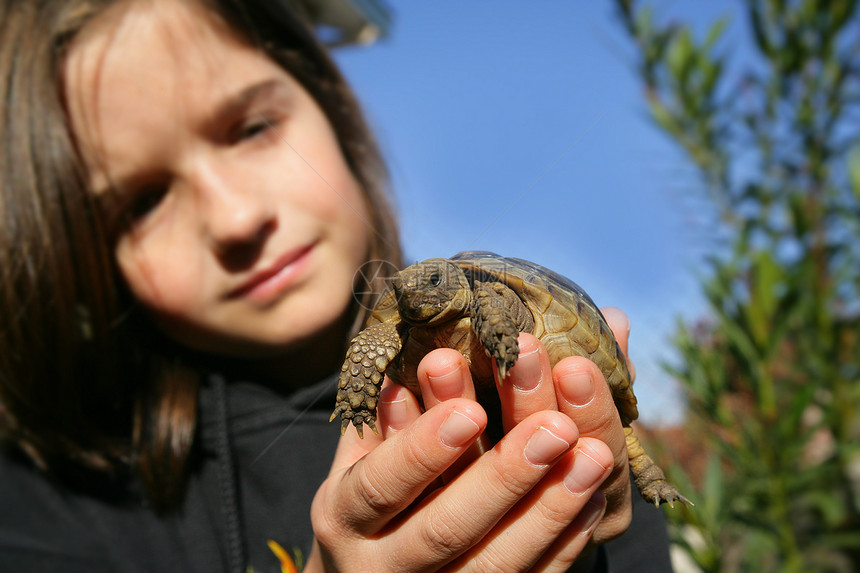 抱着海龟的年轻女孩图片