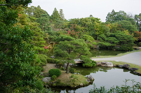 京都尼纳吉寺庙的日本花园高清图片