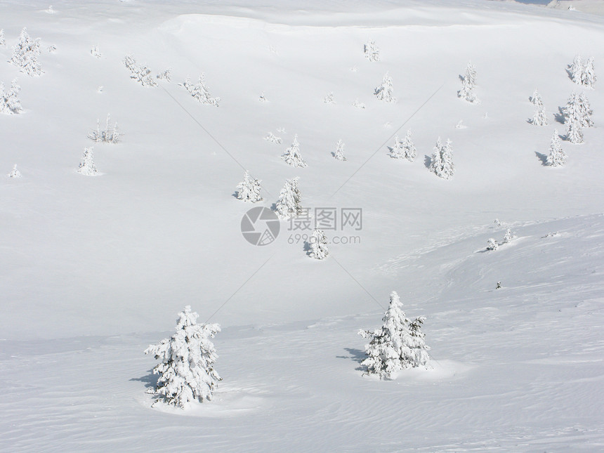 白雪树黑色滑雪蓝色季节国家公园天空美丽乡村森林图片