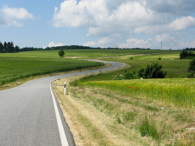 打造完美曲线完美的道路驾驶天气森林爬坡木头条纹环境风景路线林地背景