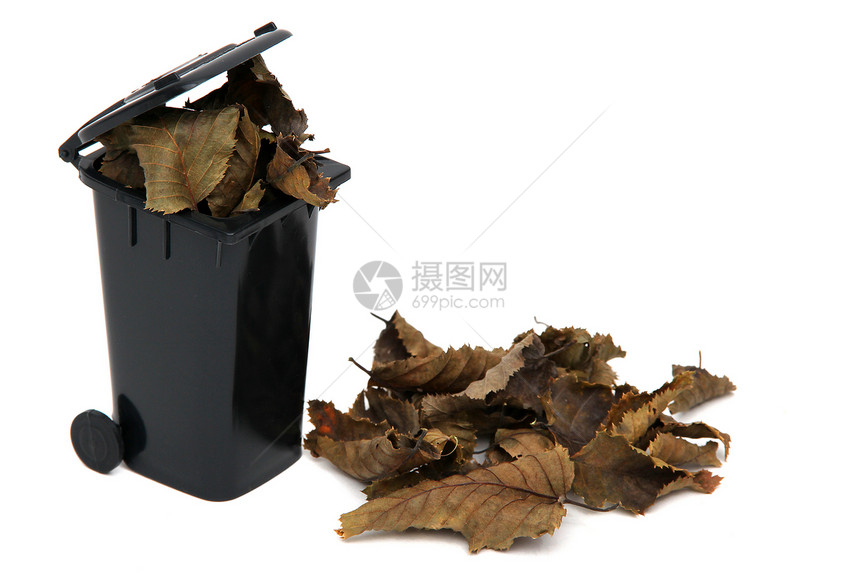 白色的黑垃圾桶中的有机废物叶子生物树叶废纸垃圾图片