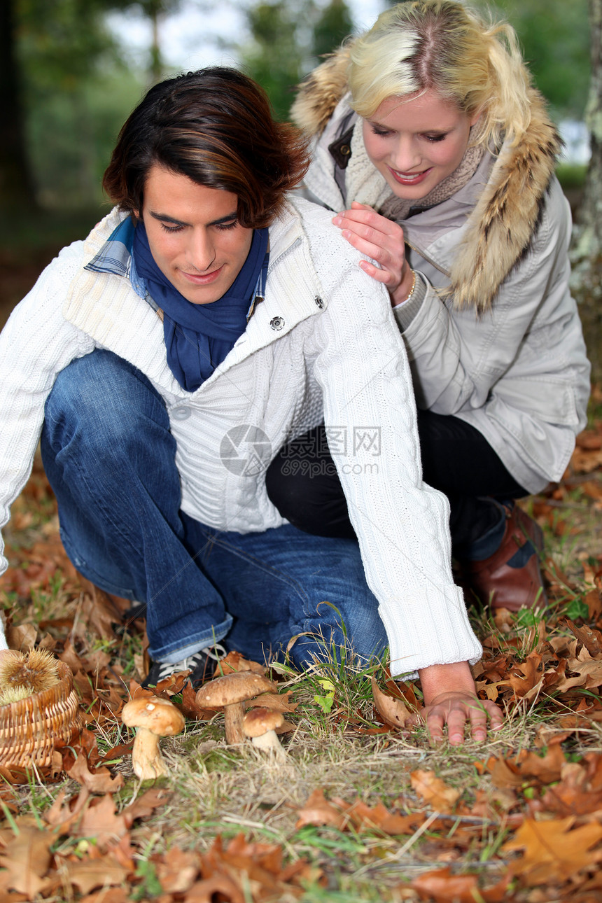 在森林采蘑菇的年轻夫妇图片