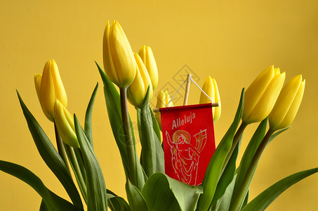 复活节精神的一束郁金香背景图片