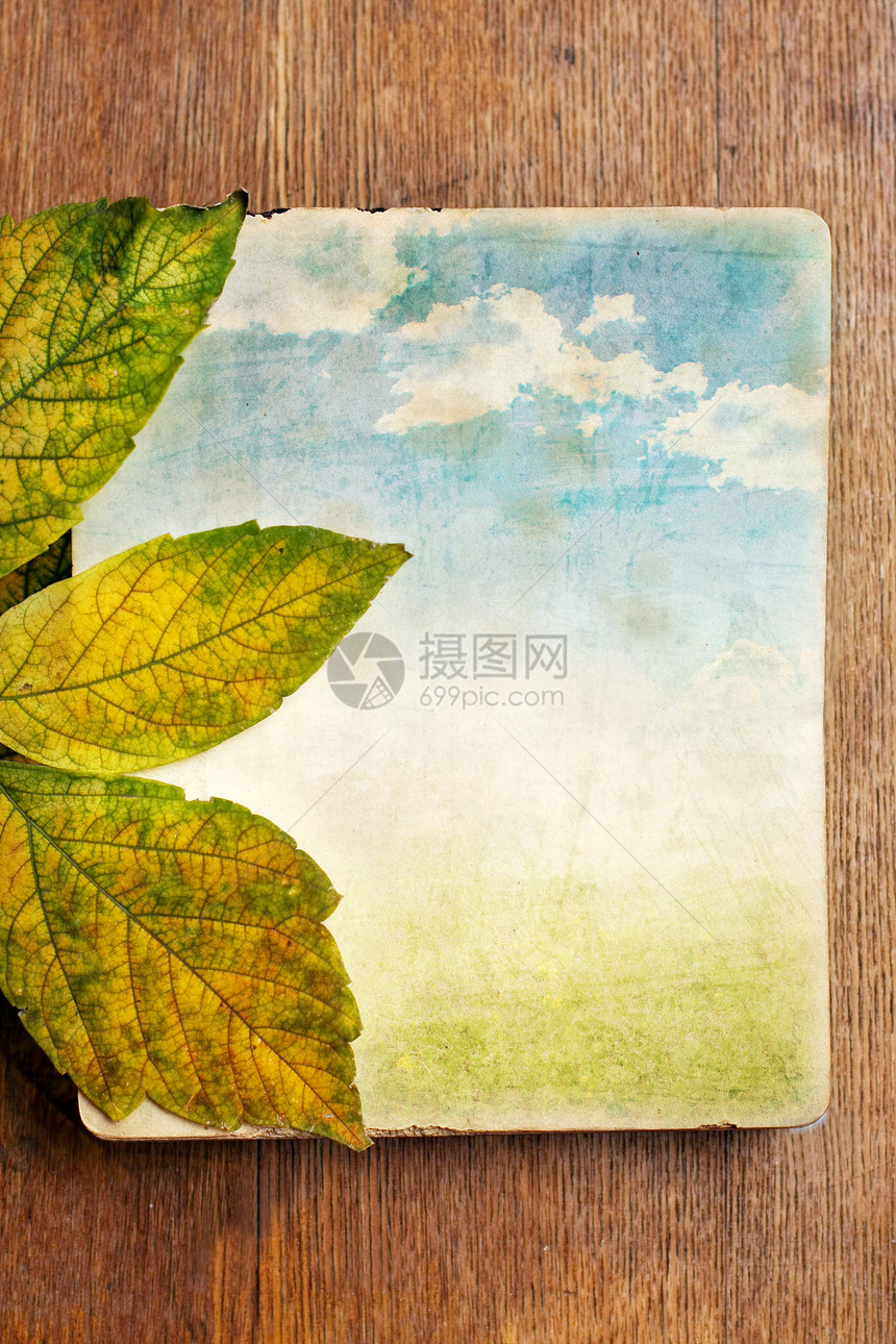 秋天棕色季节摄影材料水平红色框架橙子日记树叶图片