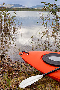 划旱船在湖边的柳树灌木丛中划上凯亚克和桨背景