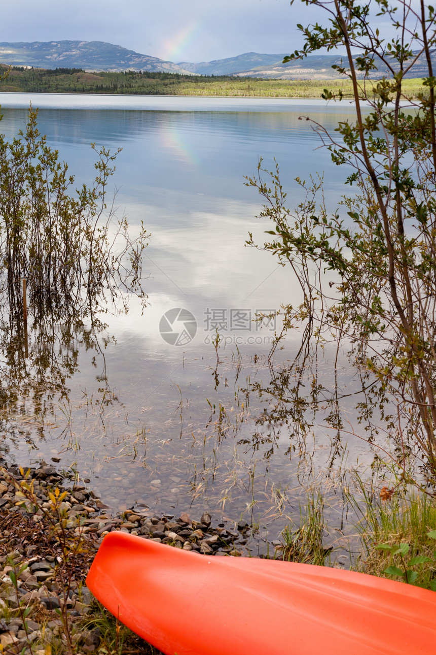 湖边柳树上的Kayak 在岸边的Kayak工艺娱乐爱好竞技闲暇支撑享受橙子皮艇衬套图片