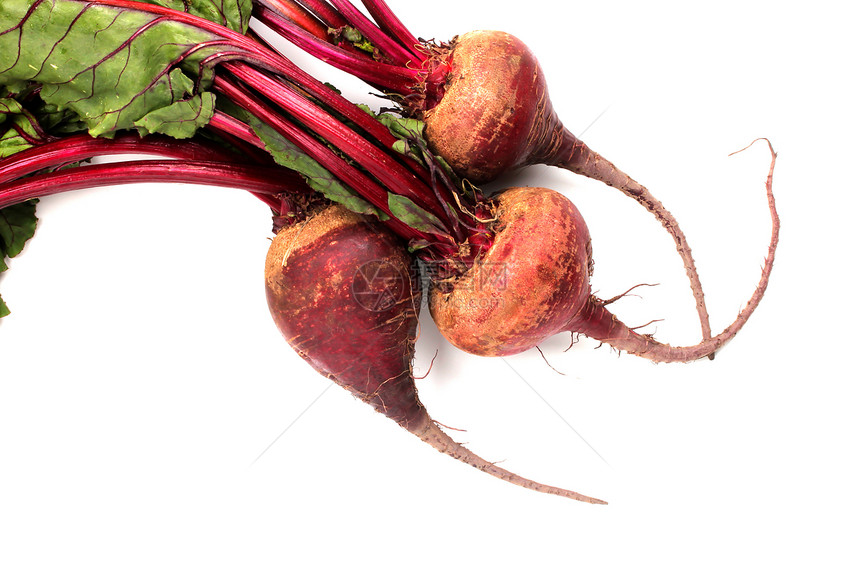 红甜菜园艺紫色树叶白色红色栗色营养蔬菜烹饪食物图片