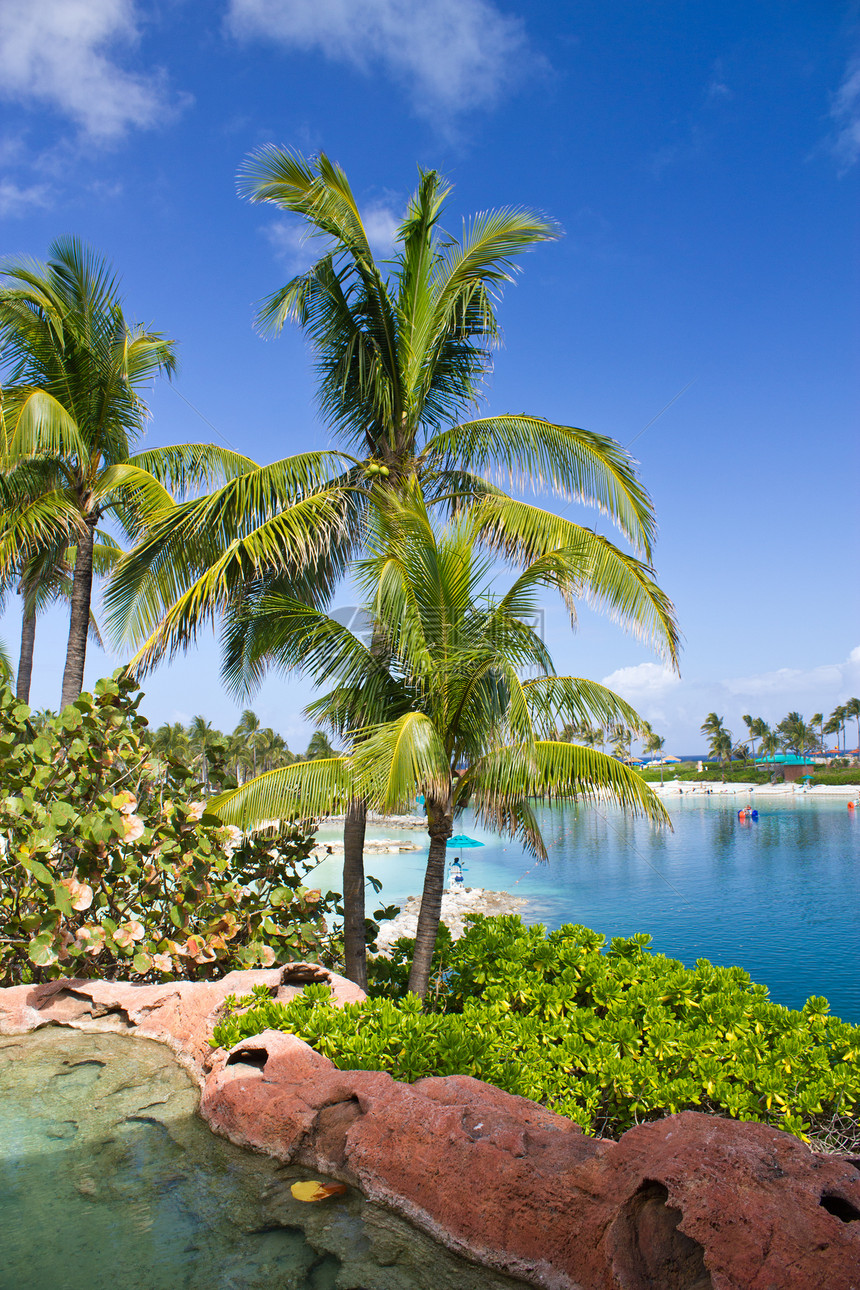巴哈马拿骚的颜色场景棕榈热带旅行地标旅游酒店天空吸引力冲浪图片