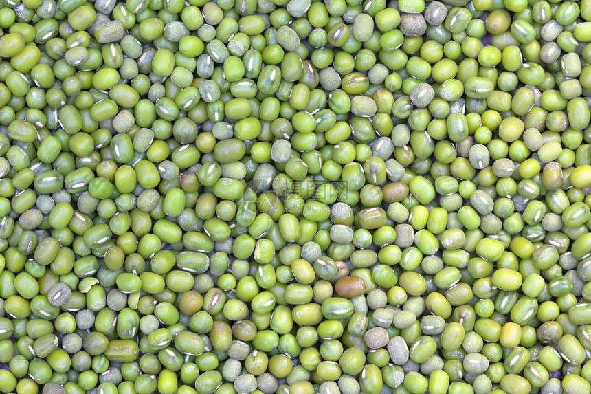 蒙大豆糊状物绿色辐射公克种子图片