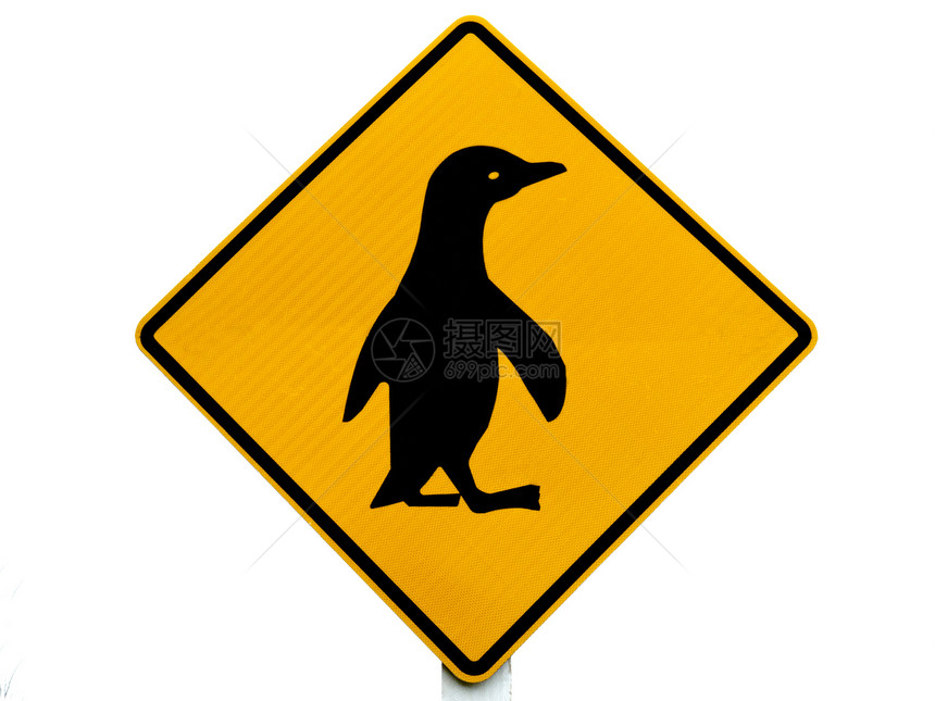蓝企鹅横越路标旅行指示牌菱形穿越濒危注意力保护流浪橙子危险图片