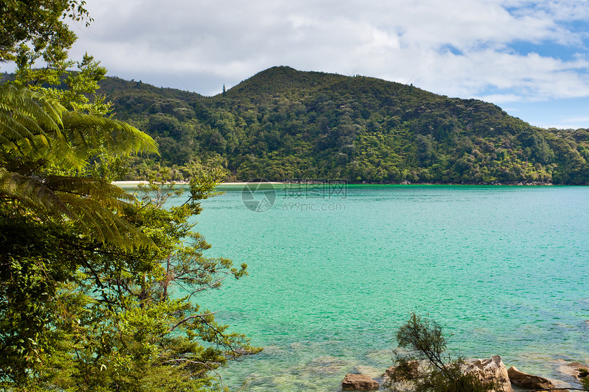 新西兰亚伯塔斯曼 NP 的宁静海湾森林假期蓝色天空沿海旅行海洋海岸峡湾旅游图片