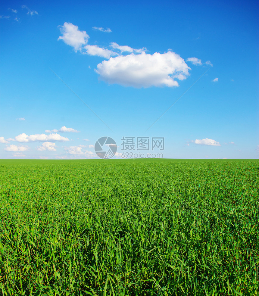 绿绿地植物天气阳光全景季节绿色土地草地远景风景图片