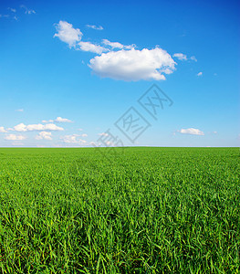 绿绿地植物天气阳光全景季节绿色土地草地远景风景背景图片