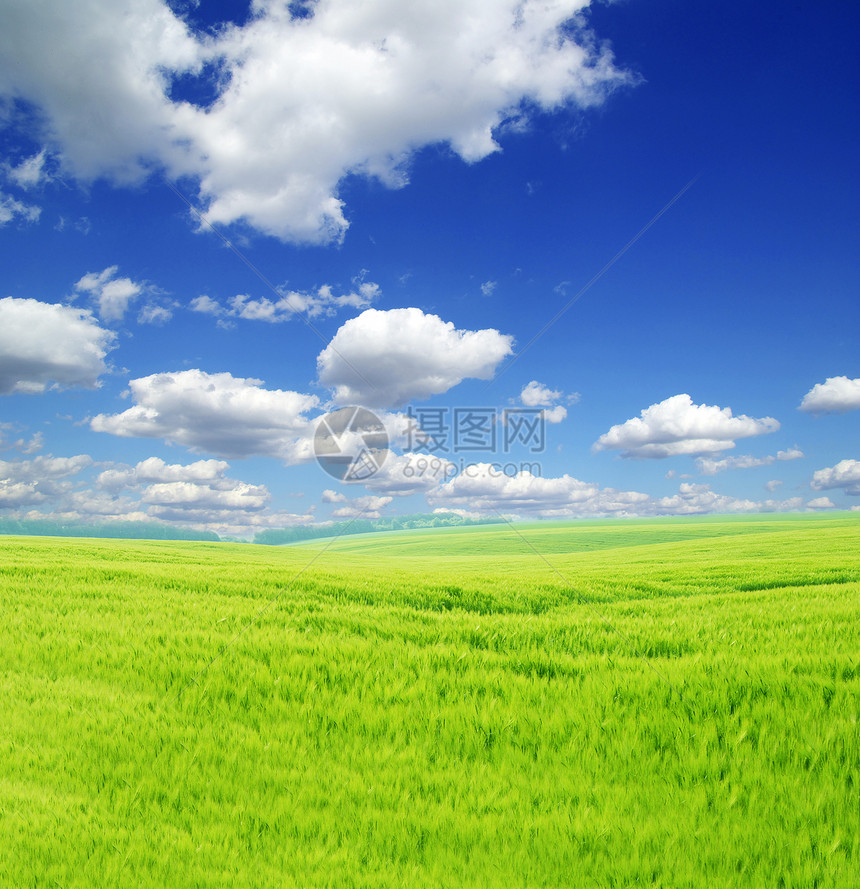 字段农业农场天气地平线乡村天空远景牧场场地风景图片