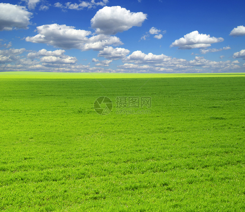 字段季节全景农场天空阳光草地牧场风景农业天气图片