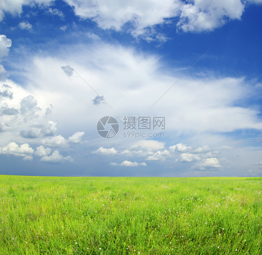 字段地平线远景植物绿色风景土地全景农业场地天空图片