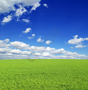 字段土地草地植物全景天气风景阳光绿色远景天空背景图片