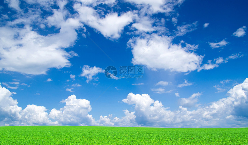 字段植物乡村阳光全景风景绿色季节草地农场天空图片