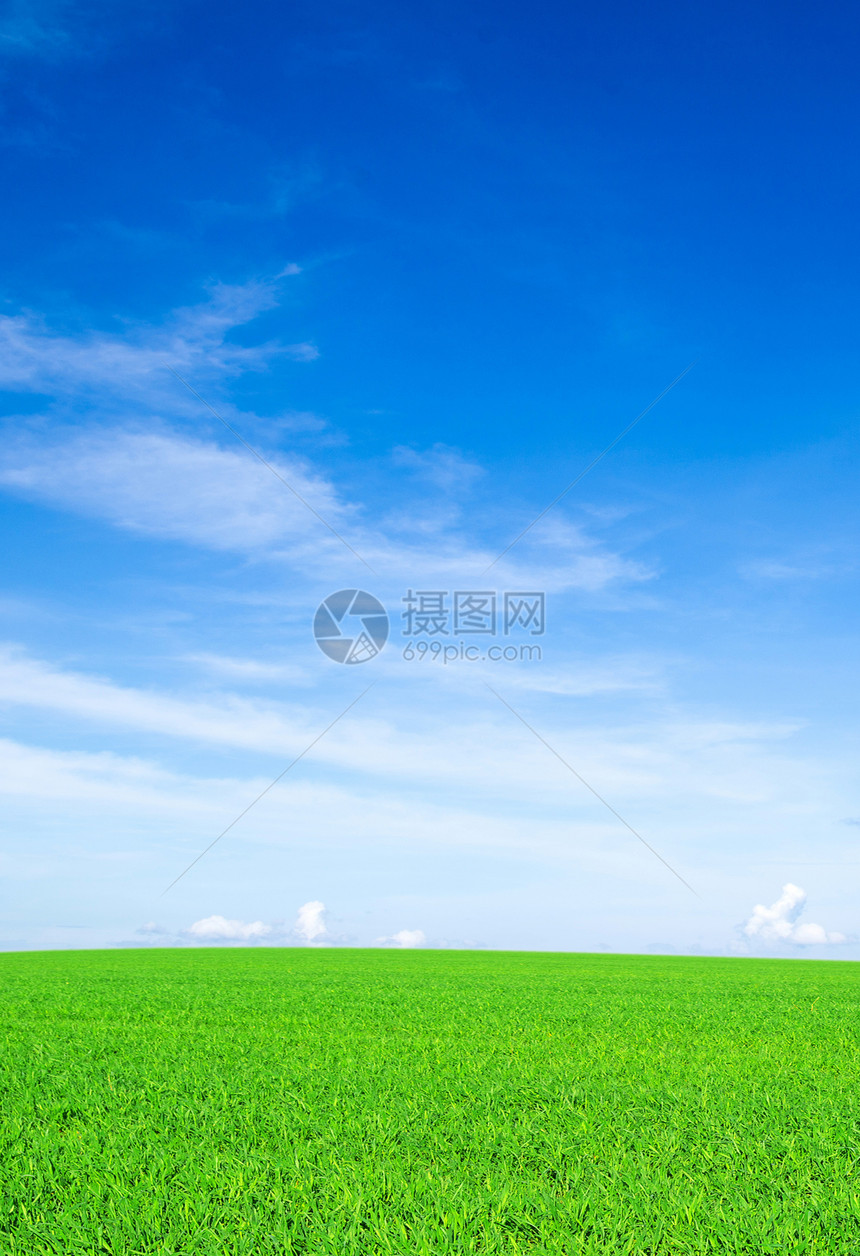 字段场地地平线农业天气绿色土地风景季节全景乡村图片