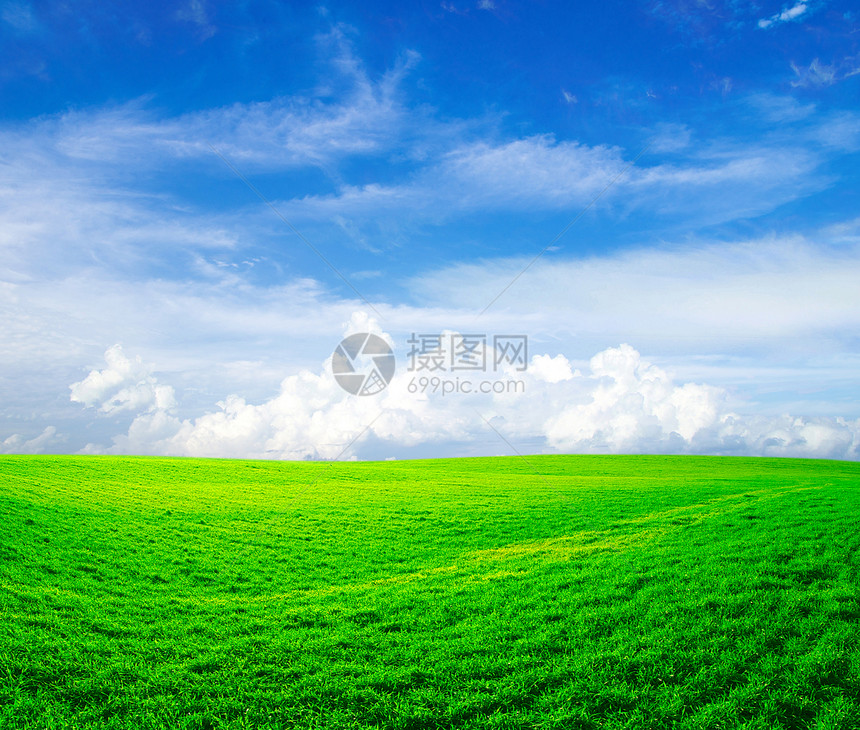 字段风景天空牧场场地农场远景地平线阳光季节绿色图片