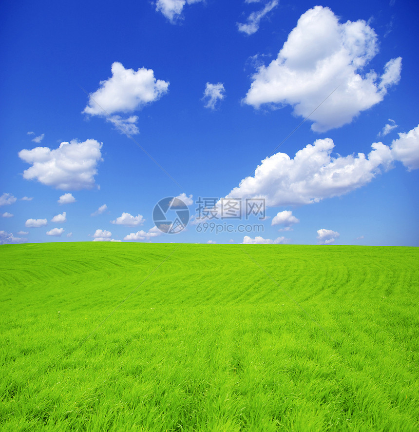 字段风景场地牧场季节植物阳光远景全景乡村农业图片