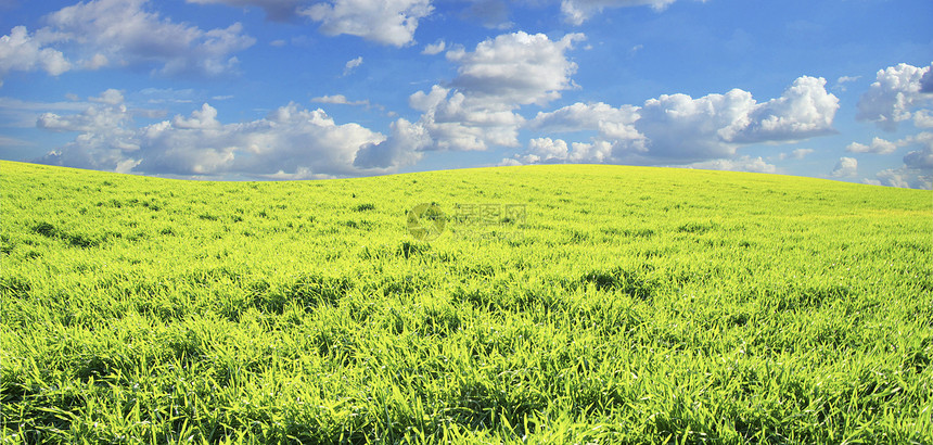 字段植物风景全景远景地平线农业天空天气季节牧场图片