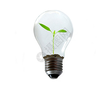 新生活环境灯泡生活植物绿色叶子背景图片