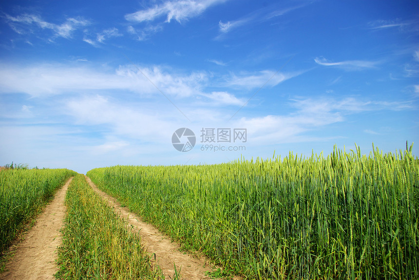 字段路徑小麦面包稻草生长农民玉米场地天空种子收成图片