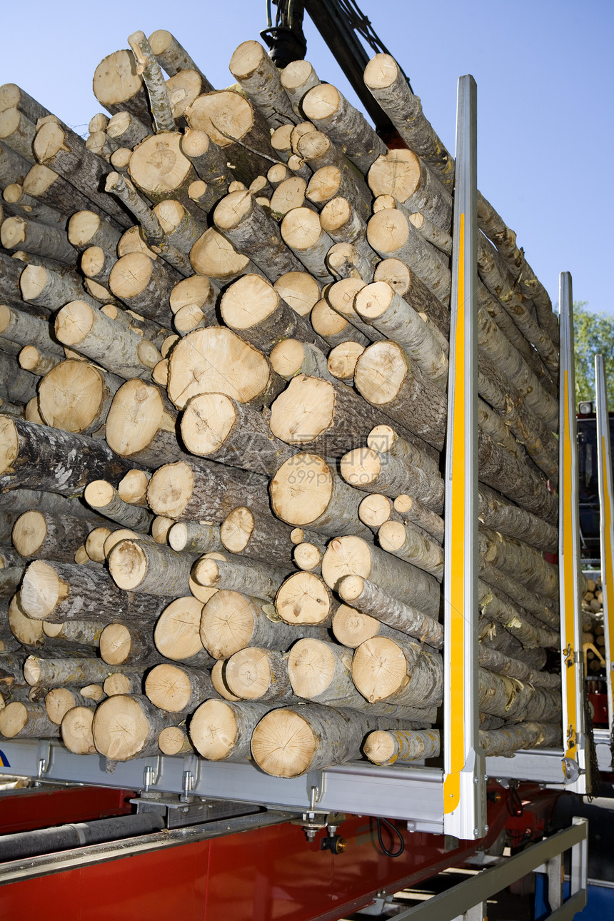装载的木材材料砍伐交通方式资源木头日志红色木工人木材业图片