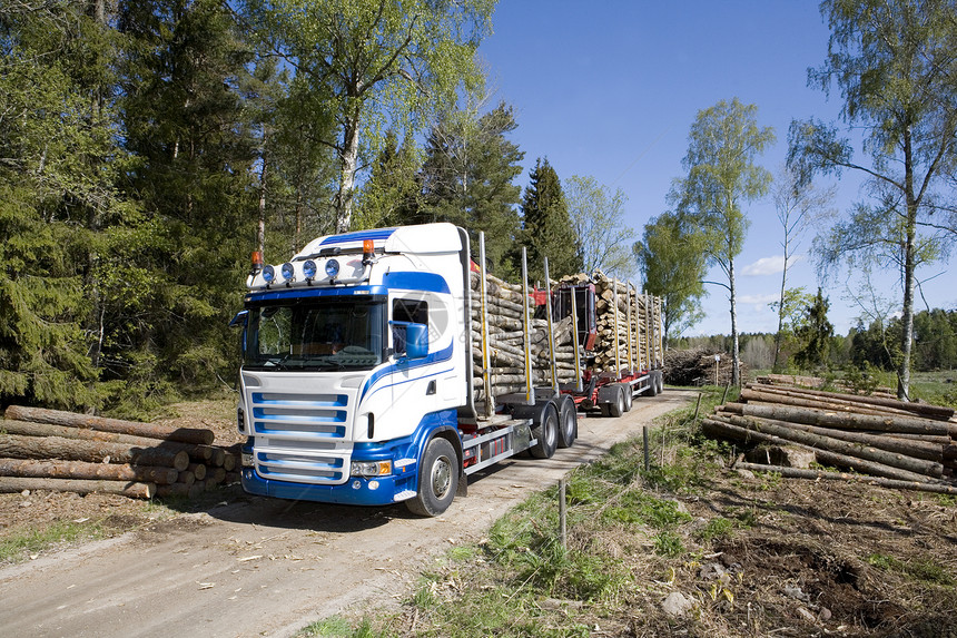 带木材的卡车木头体力劳动者运输森林红木材料驾驶木工人交通环境图片