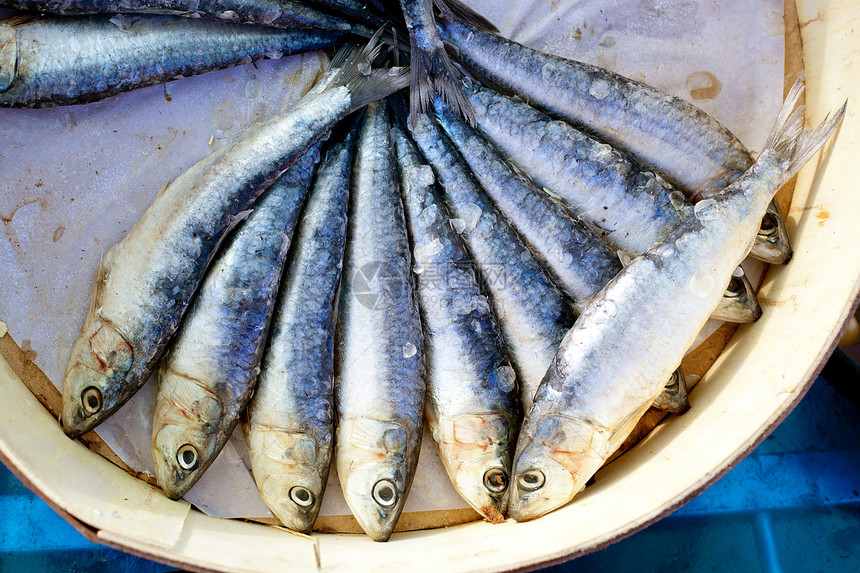 圆木盒中的盐盐沙丁鱼盐水圆圈生产身体市场海洋营养小吃零售传统图片