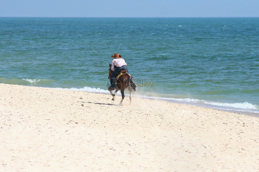 一个人骑马在海滩上奔跑图片