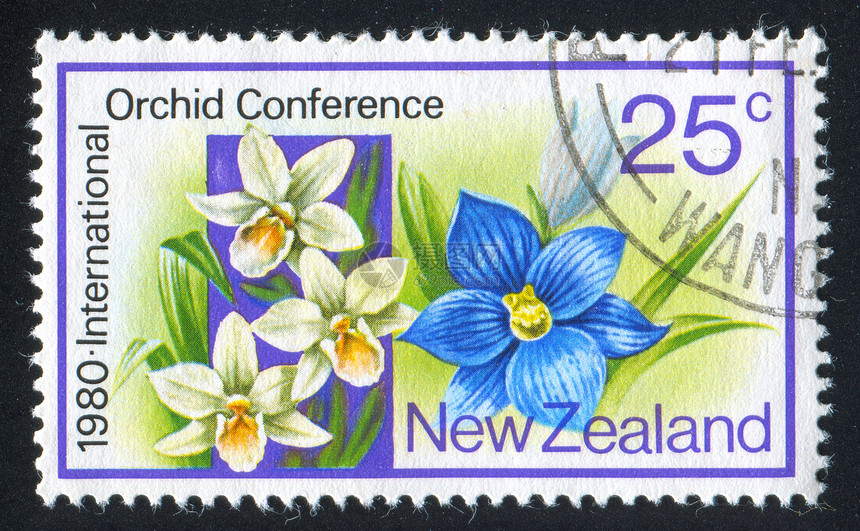 兰花花园温室会议古董植物群邮件邮票明信片信封科学图片