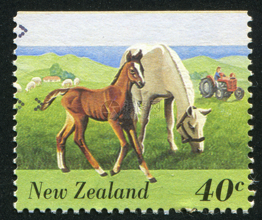 马在田野中放牧海豹拖拉机场地农场信封爬坡动物马具邮票集邮图片