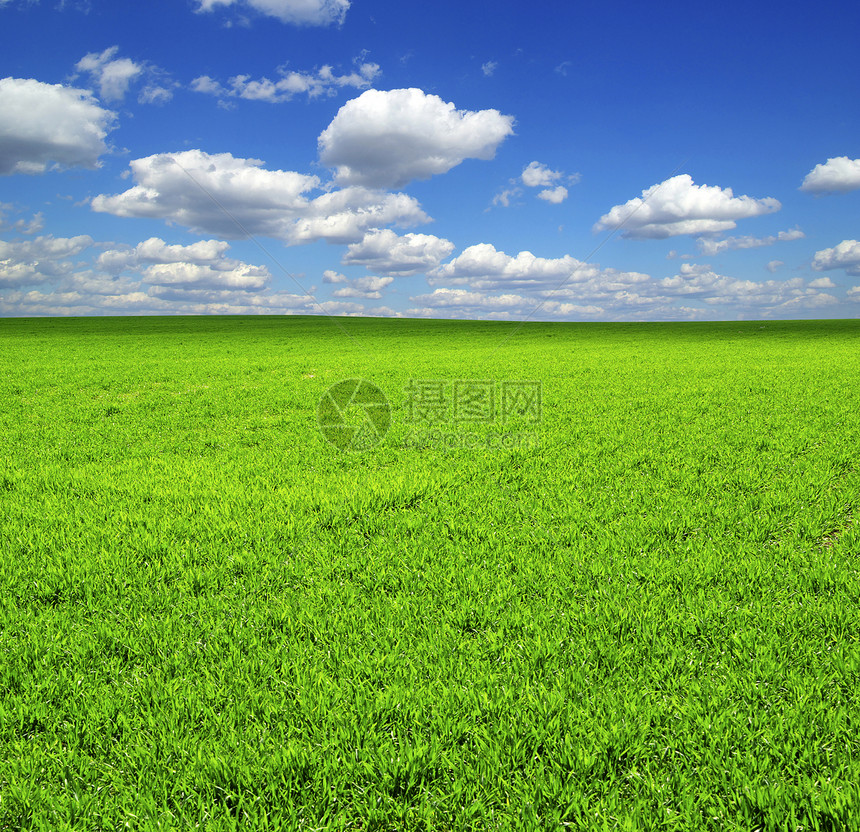 字段农业土地牧场草地季节天气天空阳光地平线远景图片