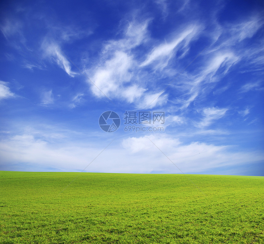 字段植物绿色农业阳光远景天空农场土地天气季节图片