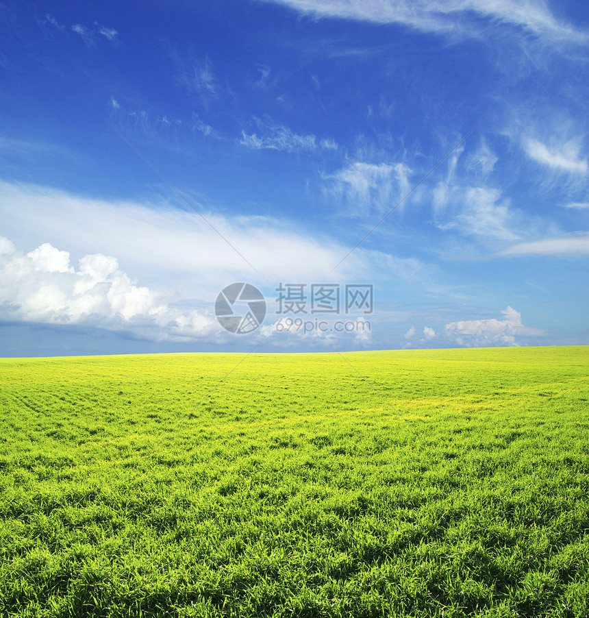 字段绿色全景乡村植物场地农业天气天空远景季节图片