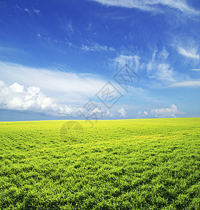 字段绿色全景乡村植物场地农业天气天空远景季节背景图片