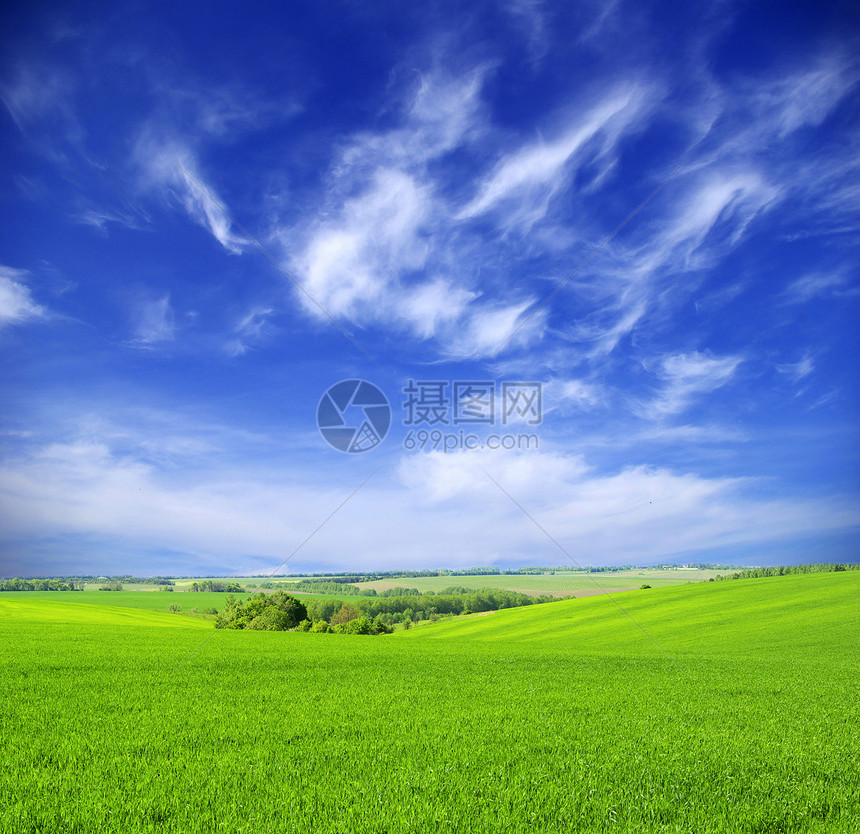 字段风景远景季节乡村植物场地草地农场阳光地平线图片