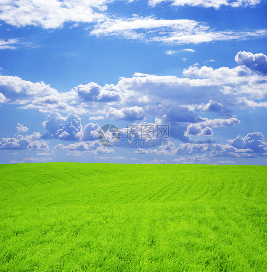 字段天空远景植物阳光季节草地牧场全景农场天气图片