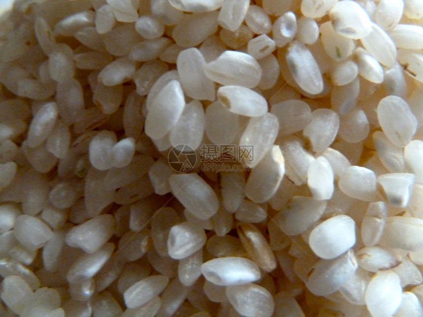 Paella大米图片