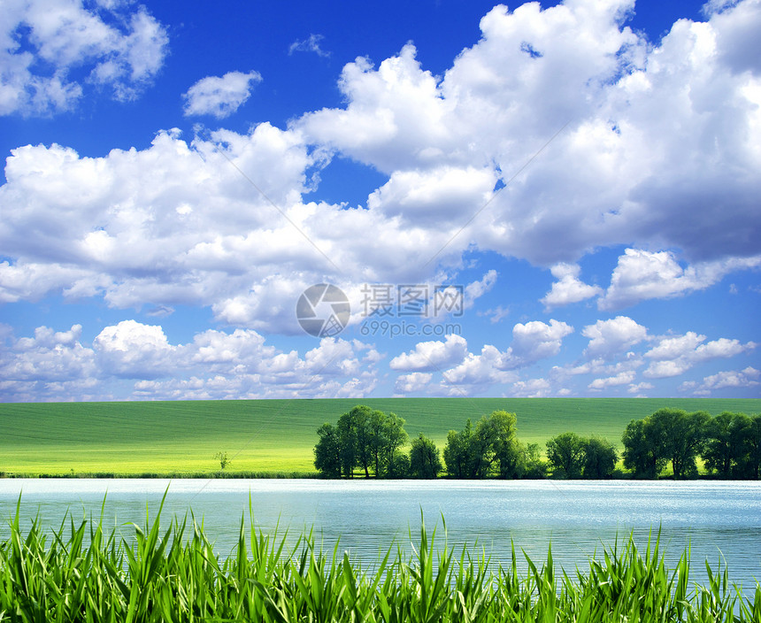 字段乡村天空牧场天气绿色地平线季节农场植物远景图片