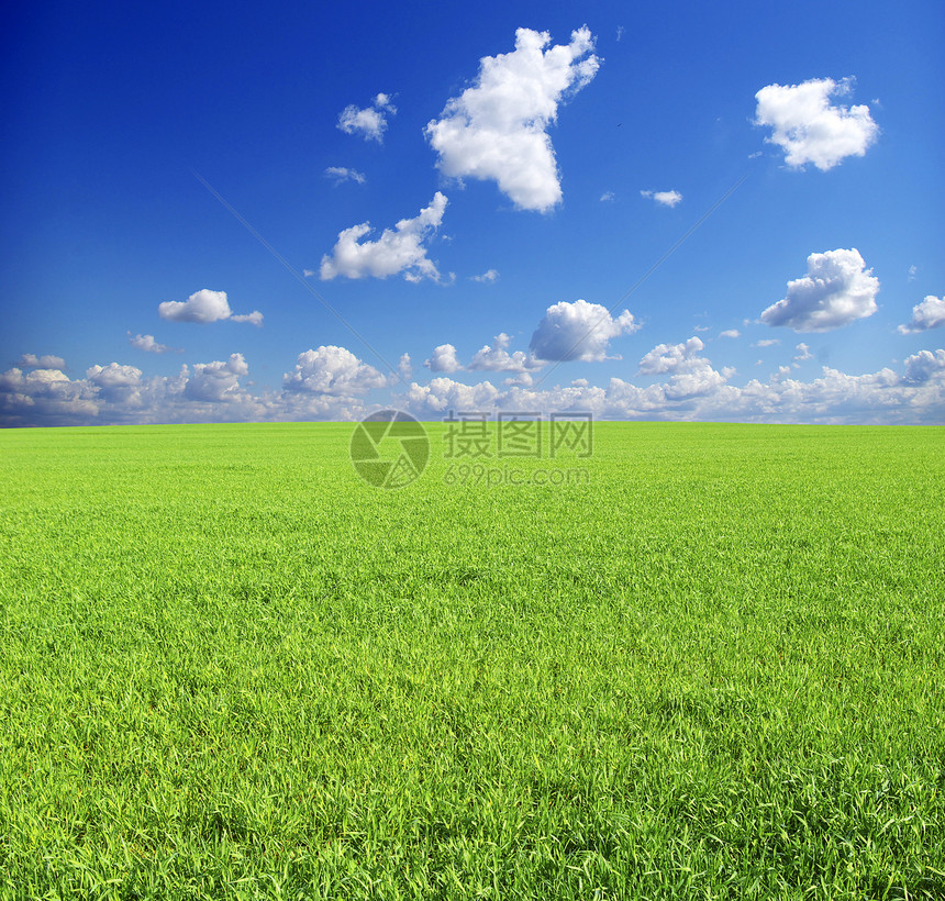 字段场地植物风景草地季节农业远景牧场天空天气图片